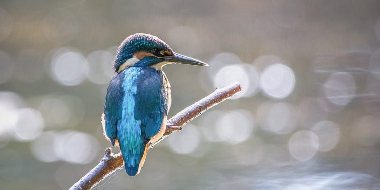 The Balancing Act: Navigating Purpose and Profit in Today’s Business World