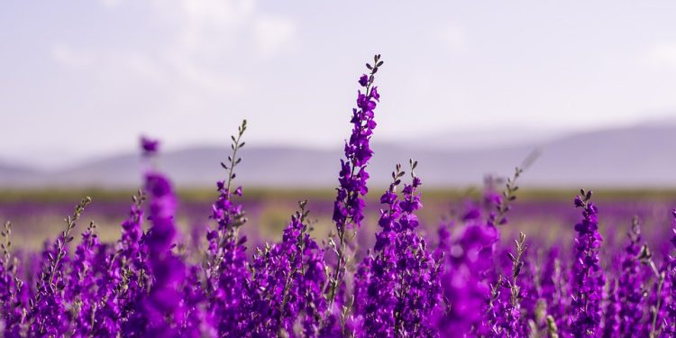 Unleashing the Power Within: The Mindfulness Secrets of High Performers