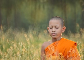 Mindful Leadership: How CEOs Can Harness Meditation Techniques for Success