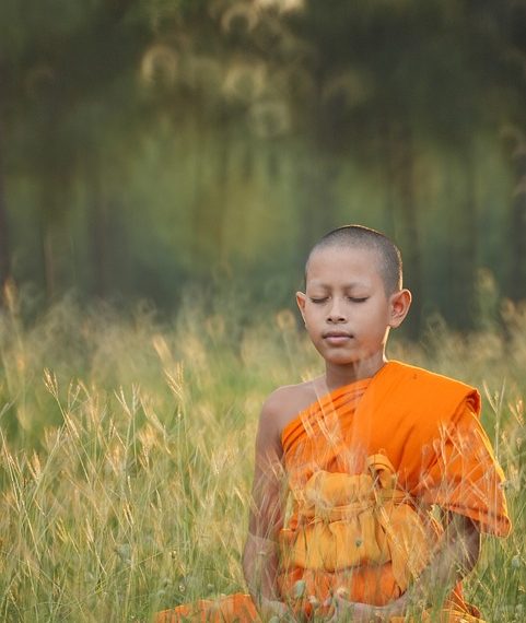 Mindful Leadership: How CEOs Can Harness Meditation Techniques for Success