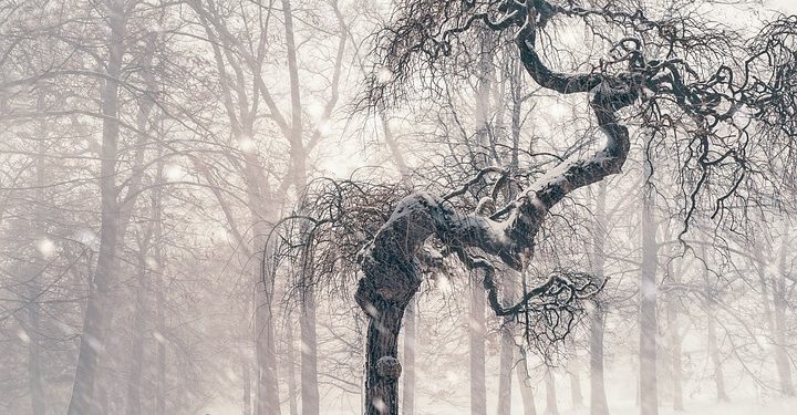 The Power of Emotional Resilience: Building Stronger Businesses in the Face of Adversity