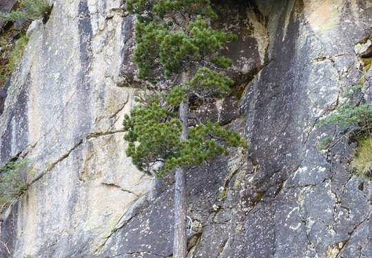 Mirror, Mirror: The Power of Self-Reflection in Elevating Leadership