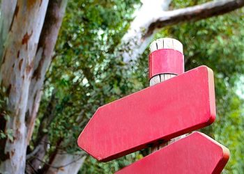 The Power of Ethical Leadership: Making Tough Decisions with Integrity