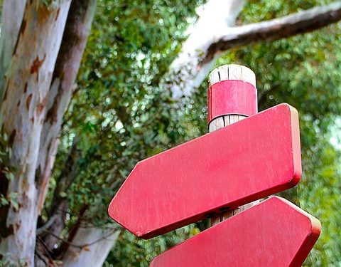 The Power of Ethical Leadership: Making Tough Decisions with Integrity