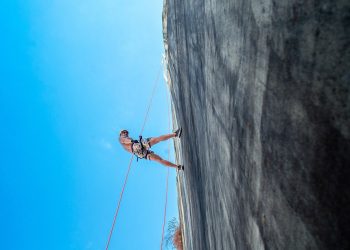 The Power of Emotional Resilience: Thriving in Business Through Adversity