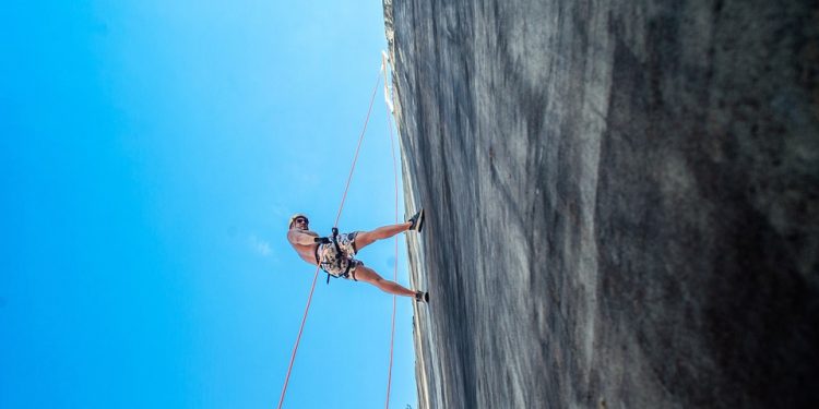 The Power of Emotional Resilience: Thriving in Business Through Adversity