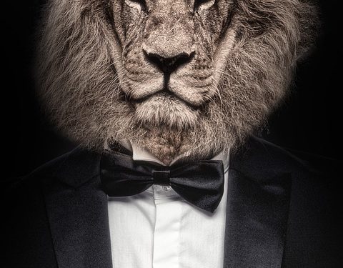 Unlocking the Power of Transformational Leadership: Inspiring Change and Growth