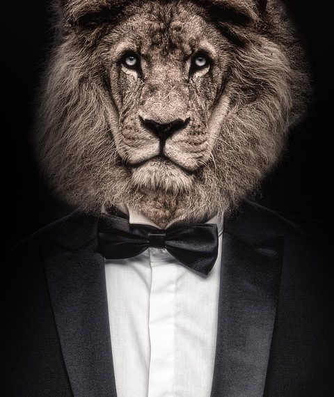 Unlocking the Power of Transformational Leadership: Inspiring Change and Growth