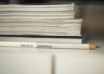 Greening the Office: Creating Sustainable Work Routines for a Better Tomorrow