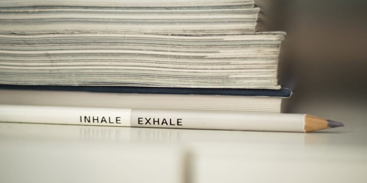 Greening the Office: Creating Sustainable Work Routines for a Better Tomorrow