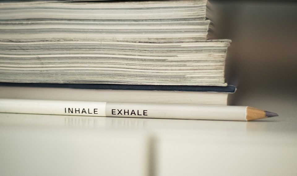 Greening the Office: Creating Sustainable Work Routines for a Better Tomorrow