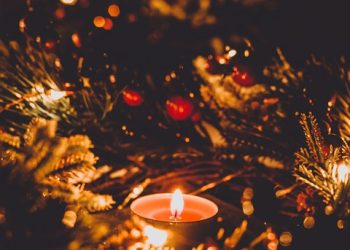 Mindful Leadership: How Meditation Transforms Business Success