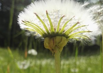 Thriving Under Pressure: Unpacking Mental Health for High Achievers