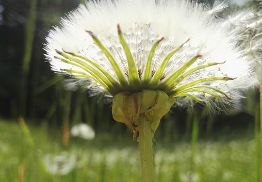 Thriving Under Pressure: Unpacking Mental Health for High Achievers