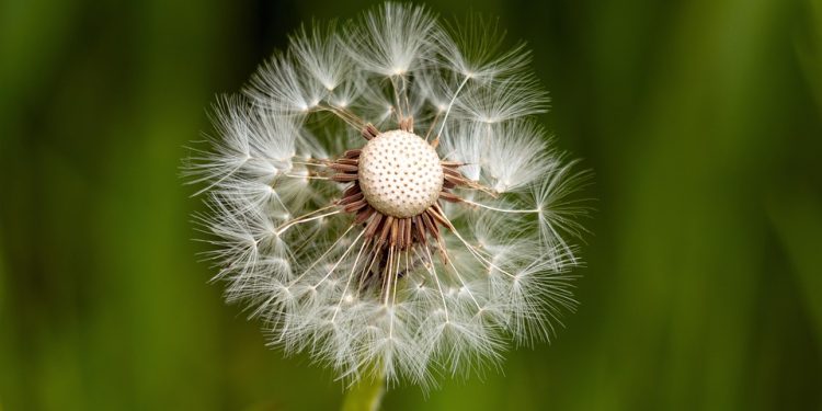 The Power of Emotional Resilience: Thriving in the Business World