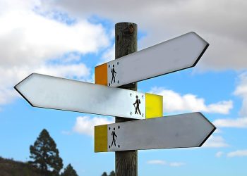 Empowering Leadership: The Art of Making Conscious Choices for Success