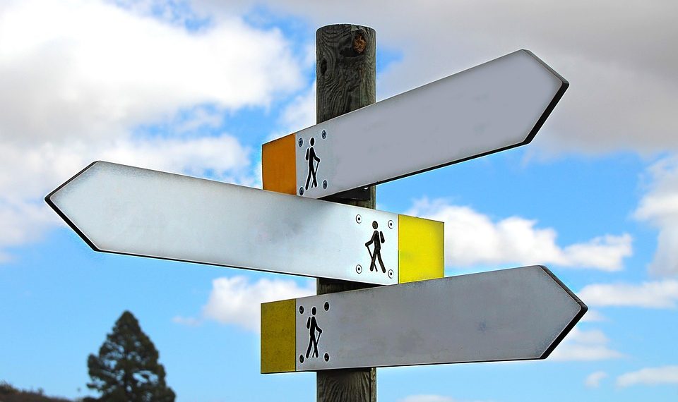 Empowering Leadership: The Art of Making Conscious Choices for Success