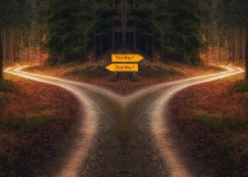 The Power of Mindful Decision-Making: Transforming Your Business with Clarity and Purpose