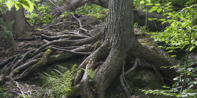 Building Resilience: The Power of Journaling for Personal Growth