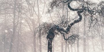 From Pen to Power: Harnessing the Strength of Journaling for Personal Resilience