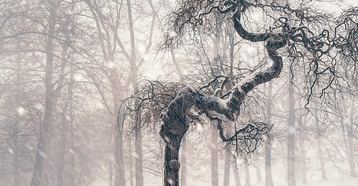 From Pen to Power: Harnessing the Strength of Journaling for Personal Resilience