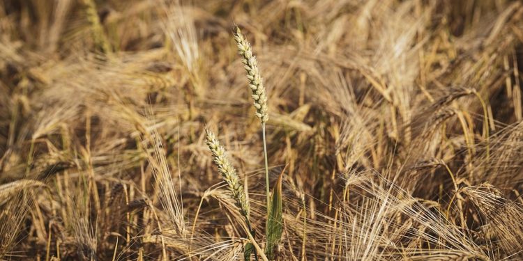 The Power of Emotional Resilience: Building a Stronger Business in the Face of Adversity