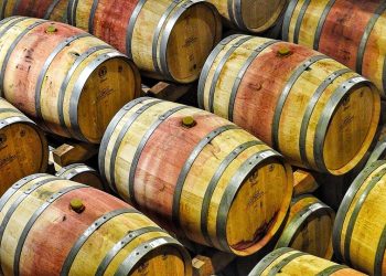 Empowering Leadership: The Impact of Conscious Choices on Success