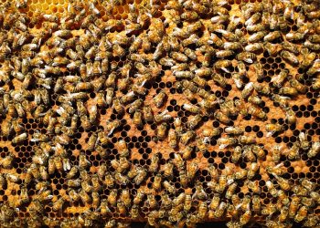 Unlocking Your Full Potential: A Holistic Approach to Well-being