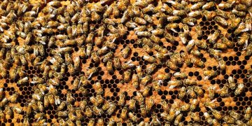 Unlocking Your Full Potential: A Holistic Approach to Well-being