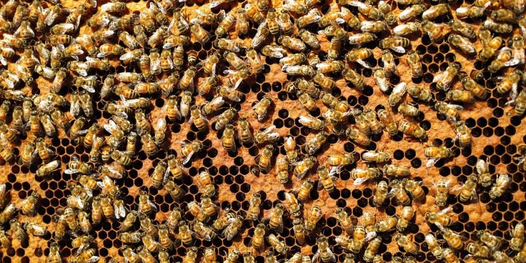 Unlocking Your Full Potential: A Holistic Approach to Well-being