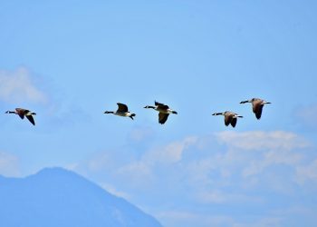 Unleashing Your Ultimate Productivity Potential: Strategies for Success