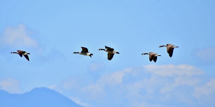 Unleashing Your Ultimate Productivity Potential: Strategies for Success