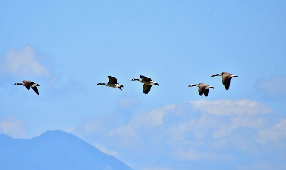Unleashing Your Ultimate Productivity Potential: Strategies for Success
